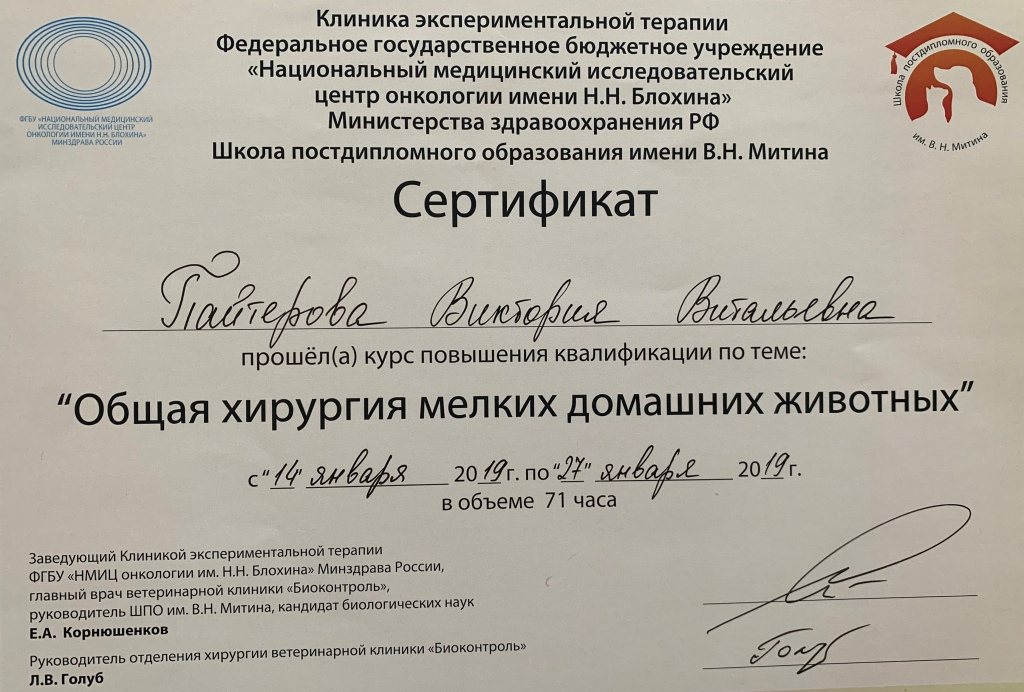 pajterova-v.-v.-sertifikat-obshhaya-hirurgiya-melkih-domashnih-zhivotnyh-01.2019