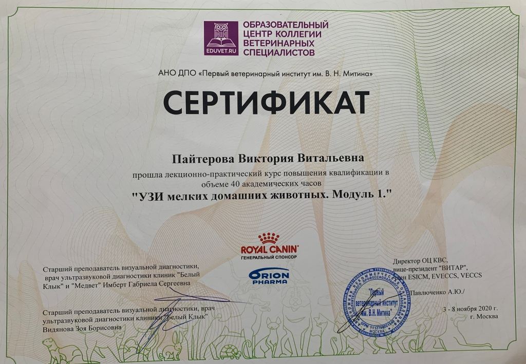pajterova-v.-v.-sertifikat-uzi-melkih-domashnih-pitomczev-modul-i-11.2020